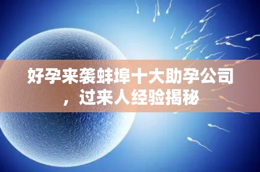 好孕来袭蚌埠十大助孕公司，过来人经验揭秘