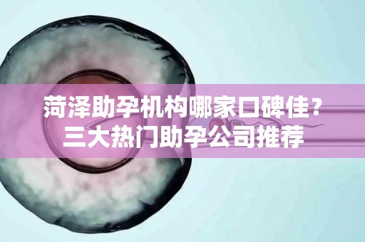 菏泽助孕机构哪家口碑佳？三大热门助孕公司推荐