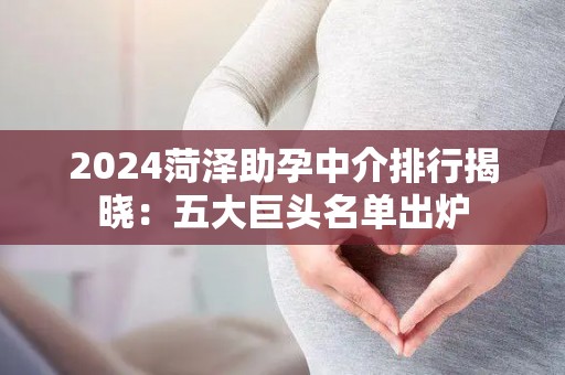 2024菏泽助孕中介排行揭晓：五大巨头名单出炉