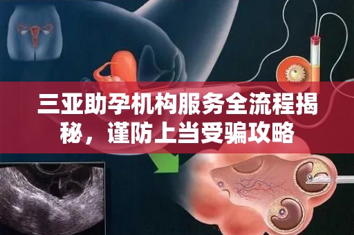 三亚助孕机构服务全流程揭秘，谨防上当受骗攻略