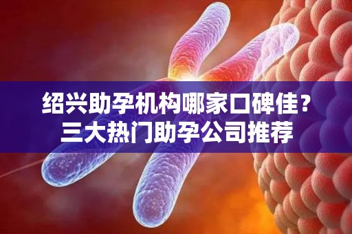 绍兴助孕机构哪家口碑佳？三大热门助孕公司推荐