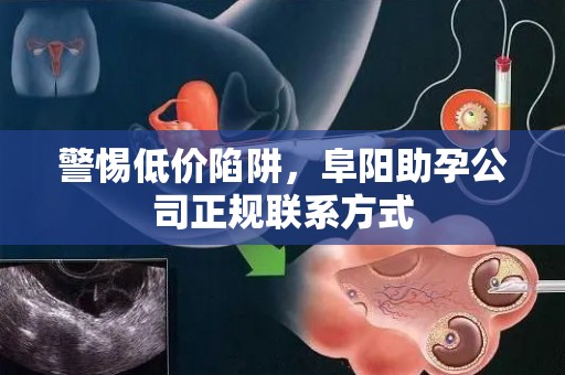 警惕低价陷阱，阜阳助孕公司正规联系方式