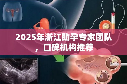 2025年浙江助孕专家团队，口碑机构推荐