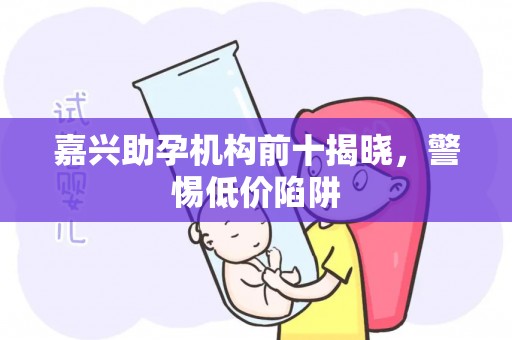 嘉兴助孕机构前十揭晓，警惕低价陷阱