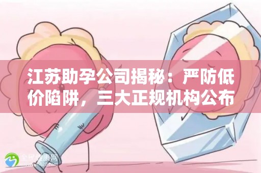 江苏助孕公司揭秘：严防低价陷阱，三大正规机构公布
