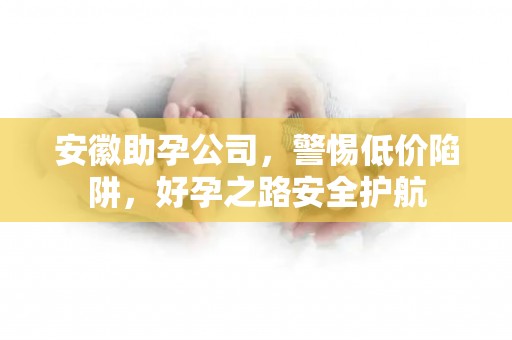 安徽助孕公司，警惕低价陷阱，好孕之路安全护航