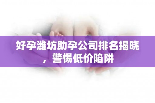 好孕潍坊助孕公司排名揭晓，警惕低价陷阱