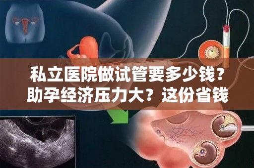 私立医院做试管要多少钱？助孕经济压力大？这份省钱指南请收好!