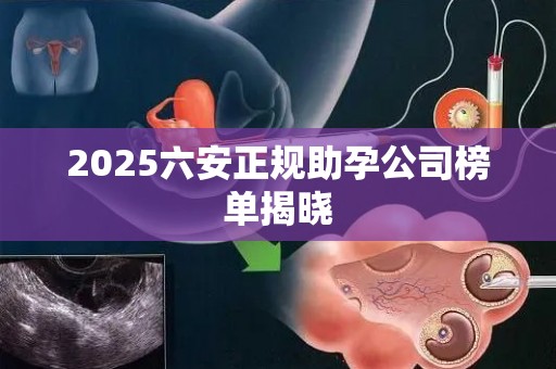 2025六安正规助孕公司榜单揭晓