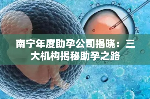 南宁年度助孕公司揭晓：三大机构揭秘助孕之路