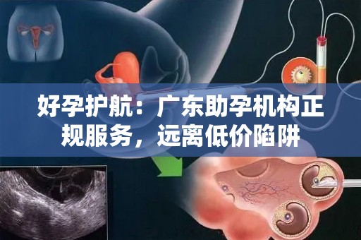 好孕护航：广东助孕机构正规服务，远离低价陷阱