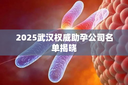 2025武汉权威助孕公司名单揭晓