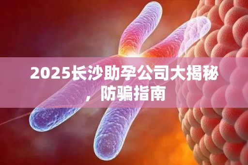 2025长沙助孕公司大揭秘，防骗指南