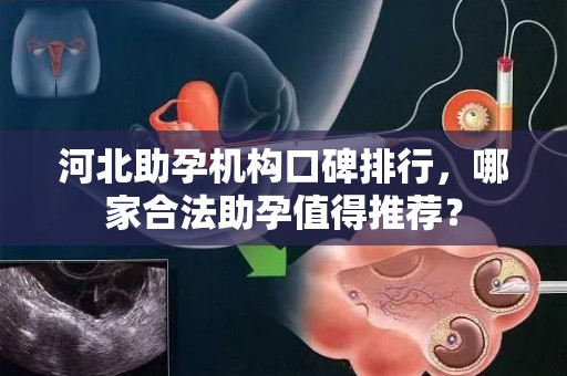 河北助孕机构口碑排行，哪家合法助孕值得推荐？