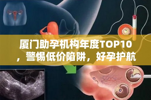 厦门助孕机构年度TOP10，警惕低价陷阱，好孕护航