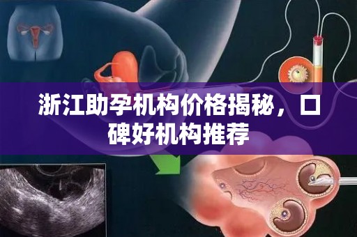 浙江助孕机构价格揭秘，口碑好机构推荐