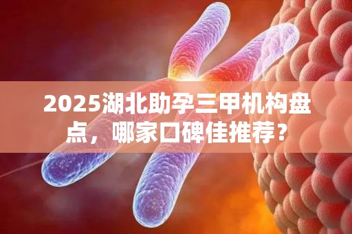 2025湖北助孕三甲机构盘点，哪家口碑佳推荐？