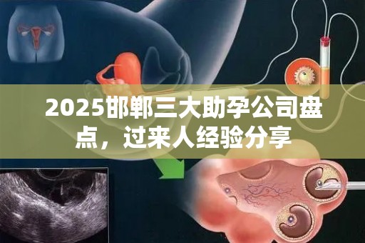 2025邯郸三大助孕公司盘点，过来人经验分享