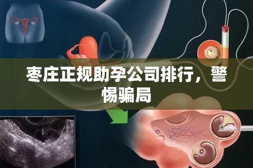 枣庄正规助孕公司排行，警惕骗局