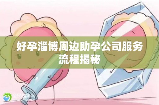 好孕淄博周边助孕公司服务流程揭秘