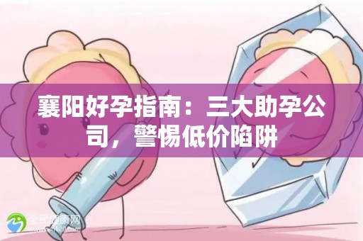 襄阳好孕指南：三大助孕公司，警惕低价陷阱