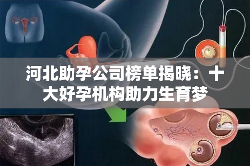 河北助孕公司榜单揭晓：十大好孕机构助力生育梦