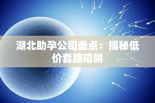 湖北助孕公司盘点：揭秘低价套路陷阱