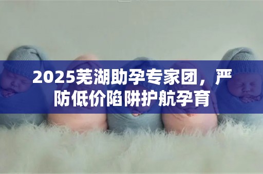 2025芜湖助孕专家团，严防低价陷阱护航孕育
