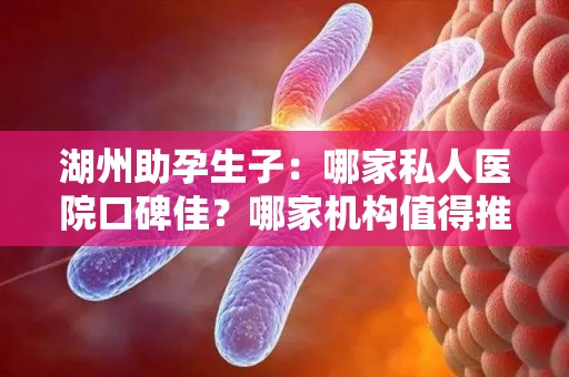 湖州助孕生子：哪家私人医院口碑佳？哪家机构值得推荐？