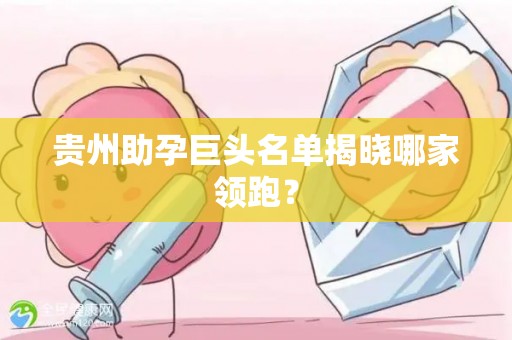 贵州助孕巨头名单揭晓哪家领跑？