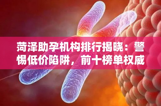 菏泽助孕机构排行揭晓：警惕低价陷阱，前十榜单权威发布