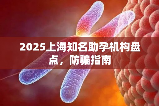 2025上海知名助孕机构盘点，防骗指南