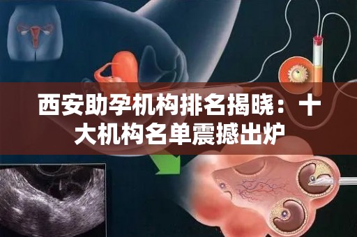 西安助孕机构排名揭晓：十大机构名单震撼出炉