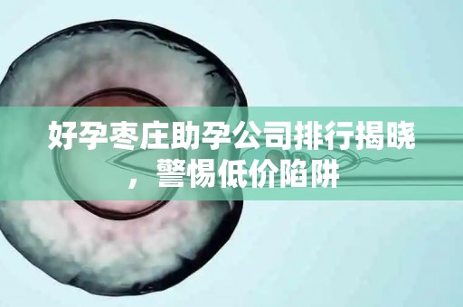 好孕枣庄助孕公司排行揭晓，警惕低价陷阱