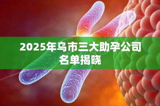 2025年乌市三大助孕公司名单揭晓