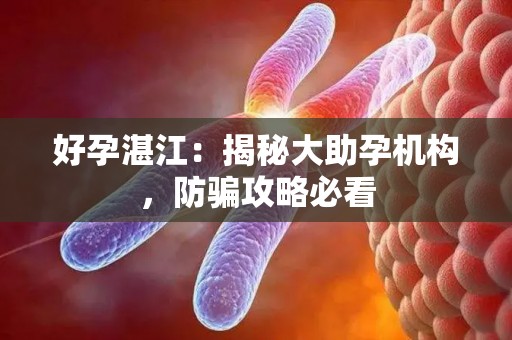 好孕湛江：揭秘大助孕机构，防骗攻略必看