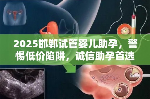 2025邯郸试管婴儿助孕，警惕低价陷阱，诚信助孕首选