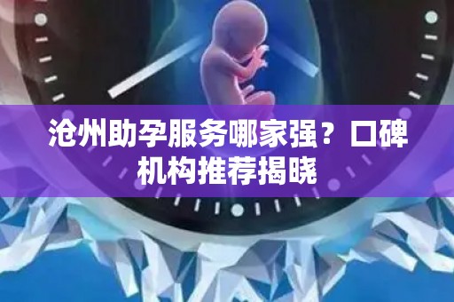 沧州助孕服务哪家强？口碑机构推荐揭晓