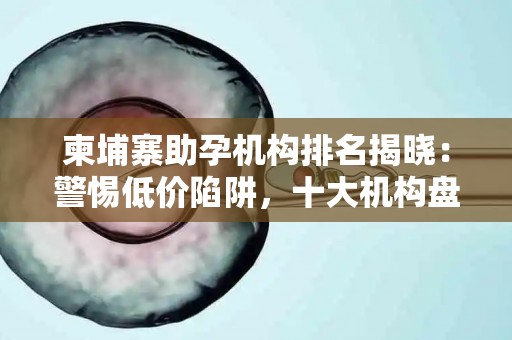 柬埔寨助孕机构排名揭晓：警惕低价陷阱，十大机构盘点