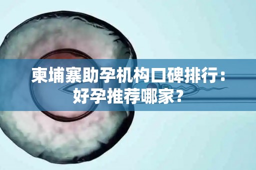 柬埔寨助孕机构口碑排行：好孕推荐哪家？