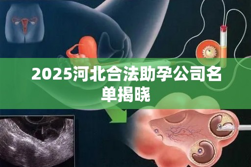 2025河北合法助孕公司名单揭晓