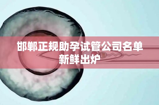 邯郸正规助孕试管公司名单新鲜出炉