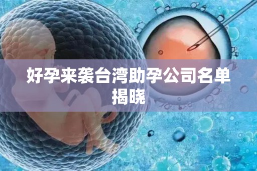 好孕来袭台湾助孕公司名单揭晓