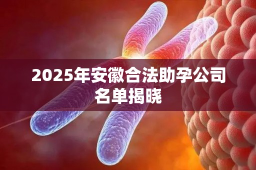 2025年安徽合法助孕公司名单揭晓