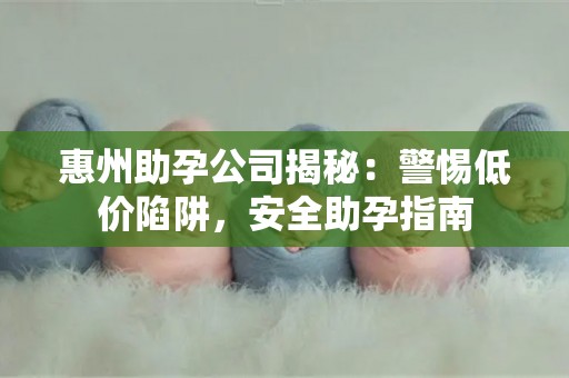 惠州助孕公司揭秘：警惕低价陷阱，安全助孕指南