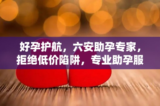 好孕护航，六安助孕专家，拒绝低价陷阱，专业助孕服务