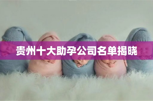 贵州十大助孕公司名单揭晓