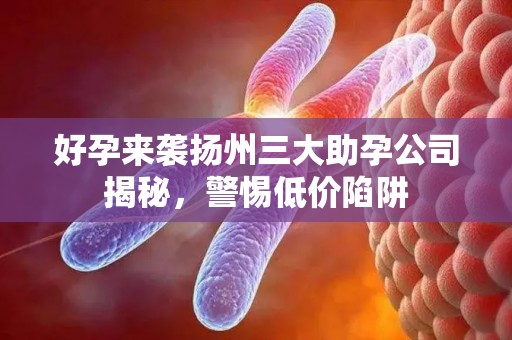 好孕来袭扬州三大助孕公司揭秘，警惕低价陷阱