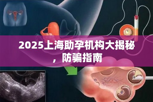 2025上海助孕机构大揭秘，防骗指南