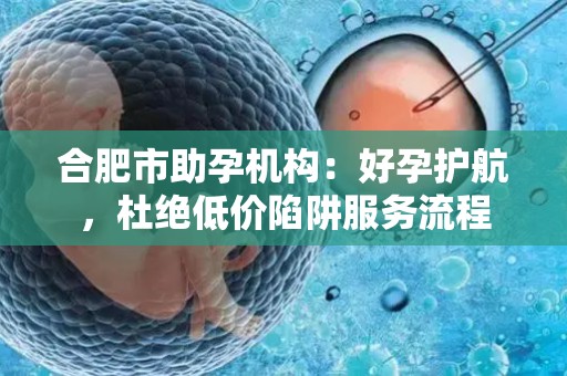 合肥市助孕机构：好孕护航，杜绝低价陷阱服务流程